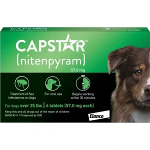 Capstar Flea Treatment for Dogs - Pet Home | The Perfect Pet Supplies Shopping Experience