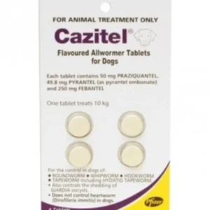 Cazitel wormer for dogs 10kg tablets pack of 4 - Pet Home | The Perfect Pet Supplies Shopping Experience