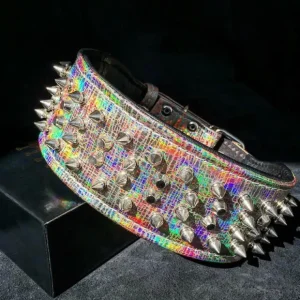 ''Chameleon'' LIMITED big dog collar - Pet Home | The Perfect Pet Supplies Shopping Experience