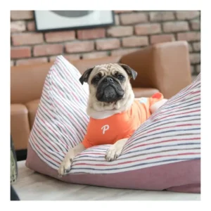 *CLEARANCE* Puppia Bateau Bed [Colour: Wine] - Pet Home | The Perfect Pet Supplies Shopping Experience