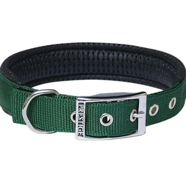 *CLEARANCE* Soft Padded Nylon Collar 1" X 28" (71cm) - Green - Pet Home | The Perfect Pet Supplies Shopping Experience