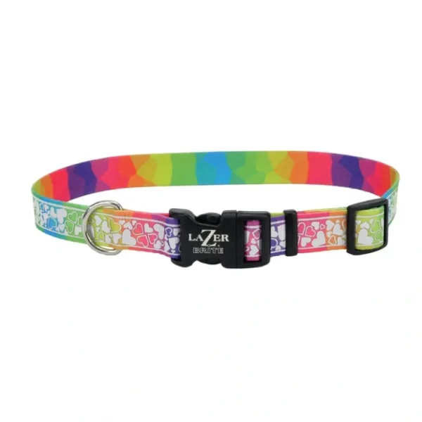 Coastal LazerBrite Patterned Collar - Pet Home | The Perfect Pet Supplies Shopping Experience