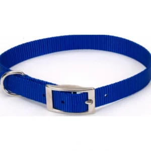 Coastal Pet Products Standard Nylon Medium Dog Collar - Pet Home | The Perfect Pet Supplies Shopping Experience
