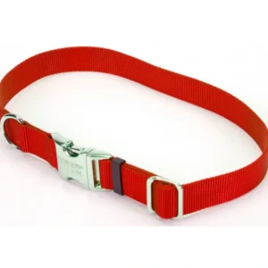 Coastal Pet Products Titan Metal Buckle Adjustable Nylon Medium Dog Collar - Pet Home | The Perfect Pet Supplies Shopping Experience