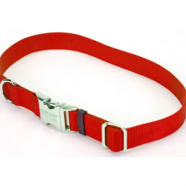 Coastal Pet Products Titan Metal Buckle Adjustable Nylon Medium Dog Collar - Pet Home | The Perfect Pet Supplies Shopping Experience