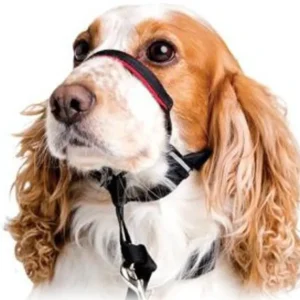 Company of Animals Halti OptiFit - Pet Home | The Perfect Pet Supplies Shopping Experience
