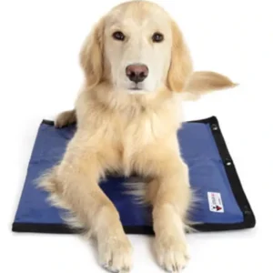 Cooler Dog - Hydro Cooling Mat - Pet Home | The Perfect Pet Supplies Shopping Experience