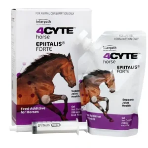 4Cyte Epiitalis Forte Gel 250mls Joint supplement for horses - Pet Home | The Perfect Pet Supplies Shopping Experience