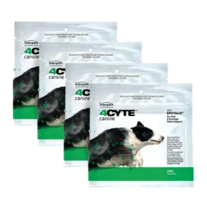 4Cyte 100g x 4 joint supplement for dogs - Pet Home | The Perfect Pet Supplies Shopping Experience