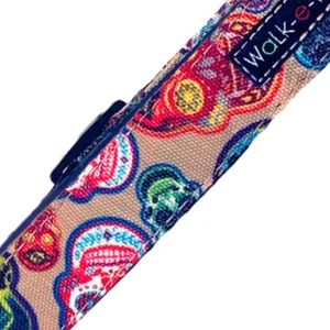 Day of the Dead - Dog Collars, Leads, and Bows - Pet Home | The Perfect Pet Supplies Shopping Experience