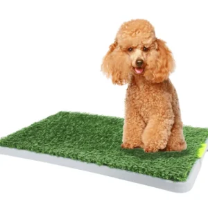 Dogit Green Dog Trainer Toilet 68 x 42cm - Pet Home | The Perfect Pet Supplies Shopping Experience