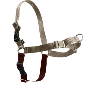 Easy Walk Harness - Pet Home | The Perfect Pet Supplies Shopping Experience