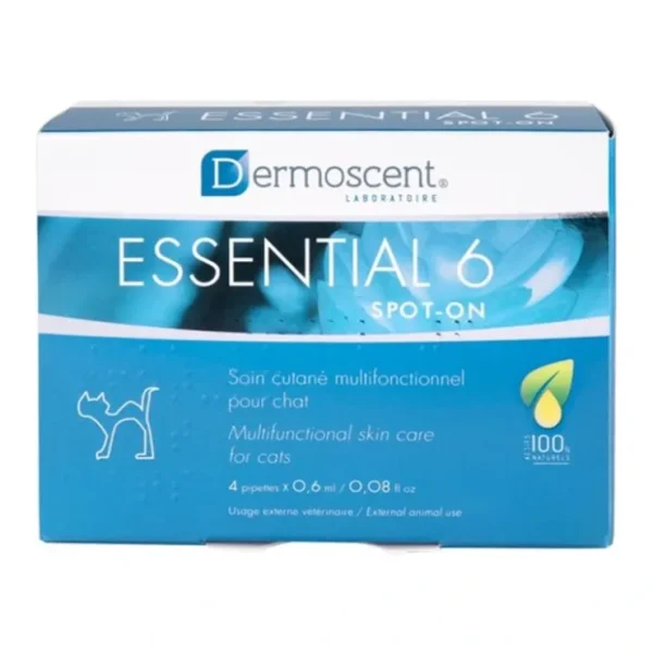 Essential 6 Cats 4 Pack - Pet Home | The Perfect Pet Supplies Shopping Experience