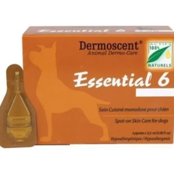 Essential 6 Large Dog 20 - 40kg 4 pack - Pet Home | The Perfect Pet Supplies Shopping Experience