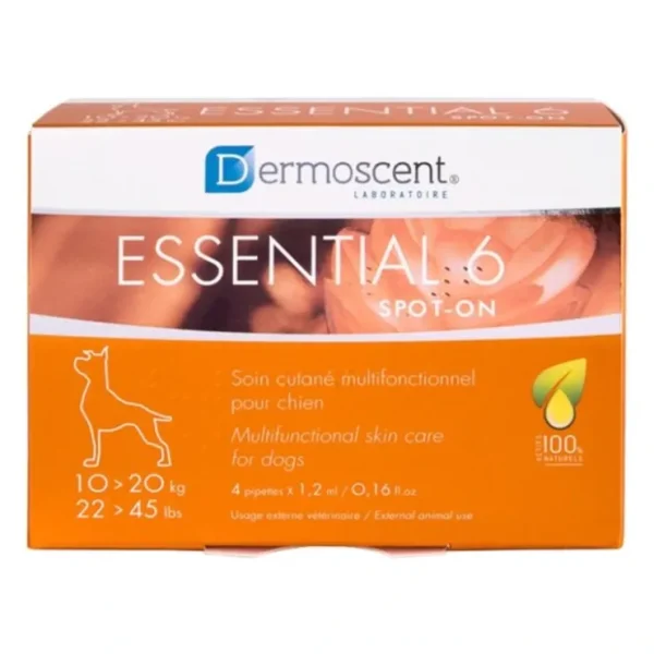Essential 6 Medium Dog 10-20kg 4 pack - Pet Home | The Perfect Pet Supplies Shopping Experience