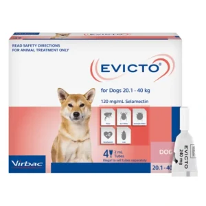 Discount Evicto Spot On for Large Dogs 20-40kg - 4 pack - Pet Home | The Perfect Pet Supplies Shopping Experience Dogs