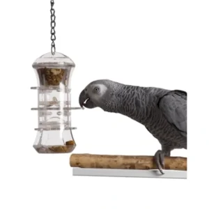 Store Featherland Paradise Creative Foraging Push & Pull - Pet Home | The Perfect Pet Supplies Shopping Experience Shop All