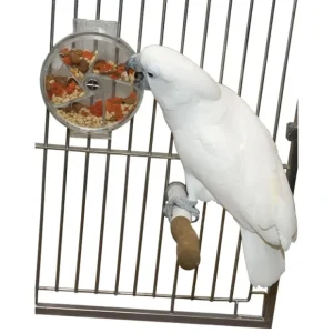 Clearance Featherland Paradise Creative Foraging R+einforcement Foraging Wheel - Pet Home | The Perfect Pet Supplies Shopping Experience Pet Toys