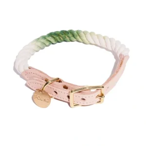 Best Sale Fern Green Ombre Cotton Rope Cat & Dog Collar - Pet Home | The Perfect Pet Supplies Shopping Experience Shop All