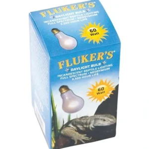 Store Fluker's Neodymium Daylight Bulb - Pet Home | The Perfect Pet Supplies Shopping Experience Shop All