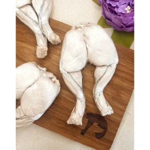 Best Freeze-dried Frog Legs - 1 piece - Pet Home | The Perfect Pet Supplies Shopping Experience Shop All
