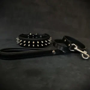 "Frenchie" Set- collar & leash. Black - Pet Home | The Perfect Pet Supplies Shopping Experience