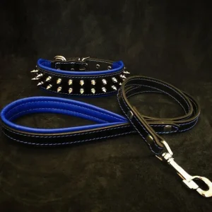 "Frenchie" Set- collar & leash. Blue - Pet Home | The Perfect Pet Supplies Shopping Experience