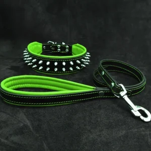 "Frenchie" Set- collar & leash. Green - Pet Home | The Perfect Pet Supplies Shopping Experience