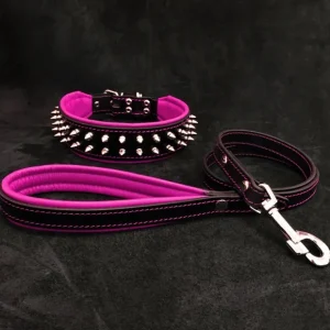 "Frenchie" Set- collar & leash. Pink - Pet Home | The Perfect Pet Supplies Shopping Experience