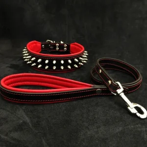 "Frenchie" Set- collar & leash. Red - Pet Home | The Perfect Pet Supplies Shopping Experience