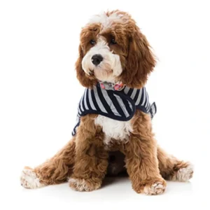 Best FuzzYard Wrap Vest Grey with Navy Stripe Size 5 - Pet Home | The Perfect Pet Supplies Shopping Experience Shop All