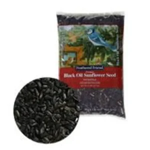 Best GENERIC BLACK OIL SUNFLOWER SEED - Pet Home | The Perfect Pet Supplies Shopping Experience Shop All