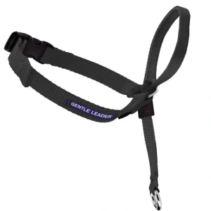 Shop Gentle Leader - Headcollar, No-Pull Dog Collar - Pet Home | The Perfect Pet Supplies Shopping Experience Pet Toys
