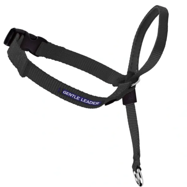 Shop Gentle Leader - Headcollar, No-Pull Dog Collar - Pet Home | The Perfect Pet Supplies Shopping Experience Pet Toys
