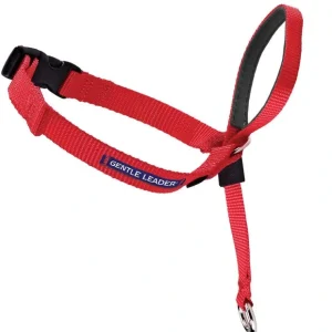 Clearance Gentle Leader - Pet Home | The Perfect Pet Supplies Shopping Experience Pet Toys