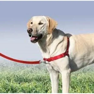New Gentle Leader Harness With Front Leash Attachment - Medium - Pet Home | The Perfect Pet Supplies Shopping Experience Pet Toys
