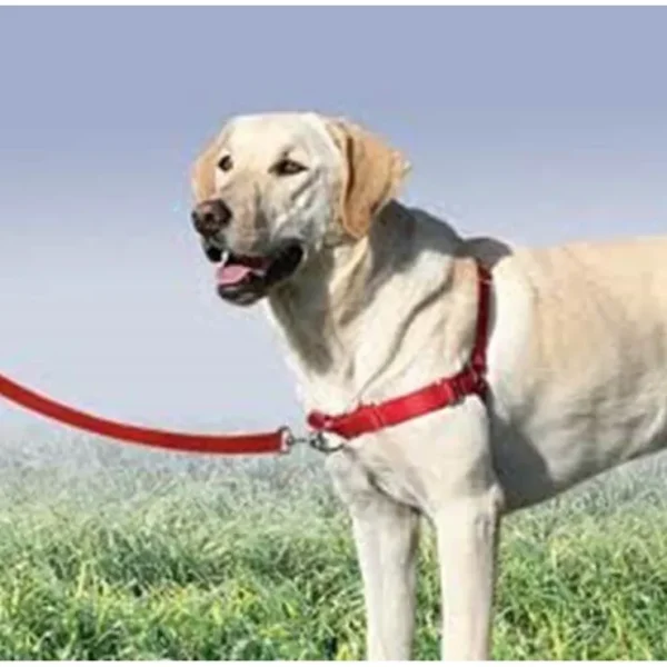 New Gentle Leader Harness With Front Leash Attachment - Medium - Pet Home | The Perfect Pet Supplies Shopping Experience Pet Toys