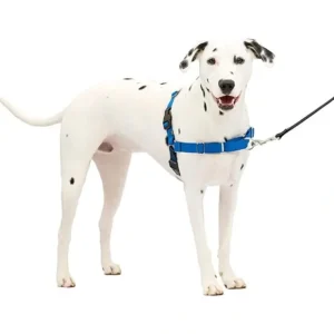 Flash Sale Gentle Leader Harness With Front Leash Attachment - Medium/ Large - Pet Home | The Perfect Pet Supplies Shopping Experience Pet Toys