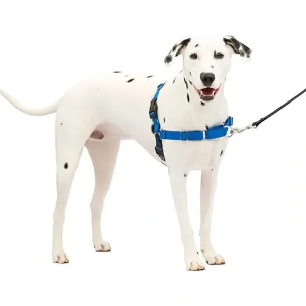 Flash Sale Gentle Leader Harness With Front Leash Attachment - Medium/ Large - Pet Home | The Perfect Pet Supplies Shopping Experience Pet Toys