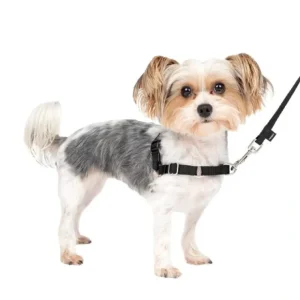 Cheap Gentle Leader Harness With Front Leash Attachment Petite - Pet Home | The Perfect Pet Supplies Shopping Experience Pet Toys