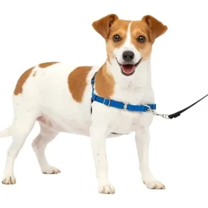 Cheap Gentle Leader Harness With Front Leash Attachment Small - Pet Home | The Perfect Pet Supplies Shopping Experience Pet Toys