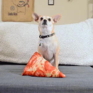 Store Get the Munchies Pizza - Refillable Dogginip Toy by SmarterPaw - Pet Home | The Perfect Pet Supplies Shopping Experience Dogs