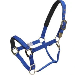 Best GG Australia Deluxe Nylon Halter - Blue - Pet Home | The Perfect Pet Supplies Shopping Experience Shop All