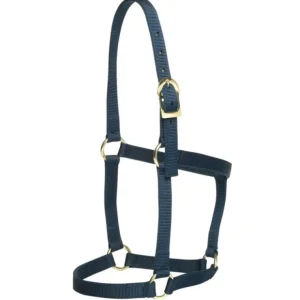 Store GG Australia Stable Halter Cob - Pet Home | The Perfect Pet Supplies Shopping Experience Shop All