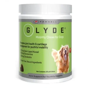 Discount Glyde Mobility Chews 60pk - Pet Home | The Perfect Pet Supplies Shopping Experience Dogs
