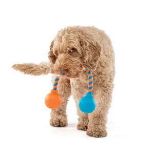 Shop Guru Squeaking Rope Medium 20.9X13.8X7Cm - Pet Home | The Perfect Pet Supplies Shopping Experience Pet Toys