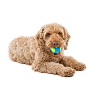 Discount Guru Tennis Max Ball Medium 7X7X7Cm - Pet Home | The Perfect Pet Supplies Shopping Experience Pet Toys
