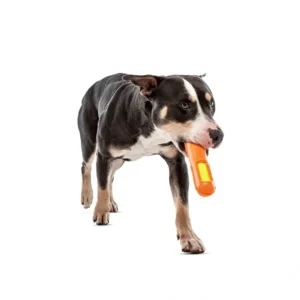 Fashion Guru Tennis Max Stick Medium 23X5X5Cm - Pet Home | The Perfect Pet Supplies Shopping Experience Pet Toys