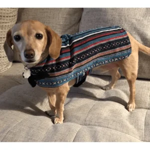 100% Hand-Woven Dog Poncho from Walking Palm - Pet Home | The Perfect Pet Supplies Shopping Experience