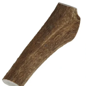 Online Happy Dog of Cape Cod Premium All Natural Whole Elk Antler Dog Chews (X-Large) - Pet Home | The Perfect Pet Supplies Shopping Experience Pet Toys